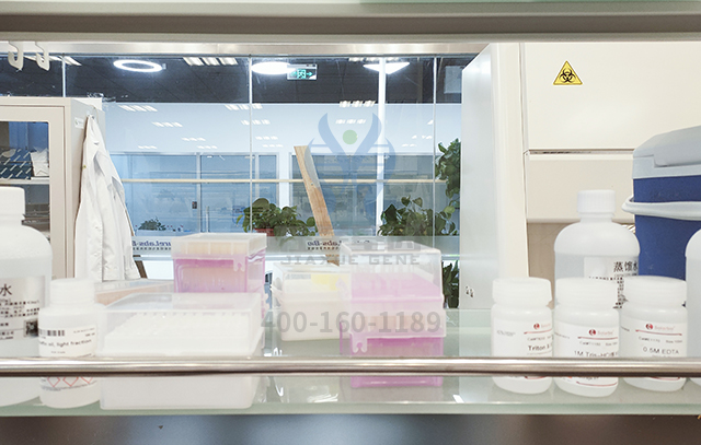 基因解码解决方案----血友病的治疗 基因解码解决方案----血友病的治疗