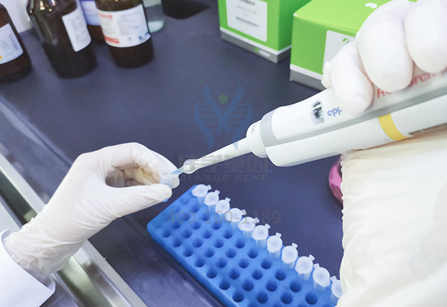 18般才艺学哪般?基因解码答疑难! 18般才艺学哪般?基因解码答疑难!