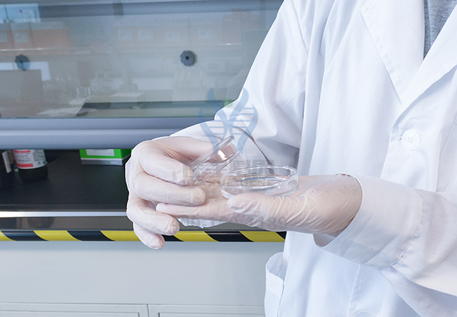 18般才艺学哪般?基因解码答疑难! 18般才艺学哪般?基因解码答疑难!