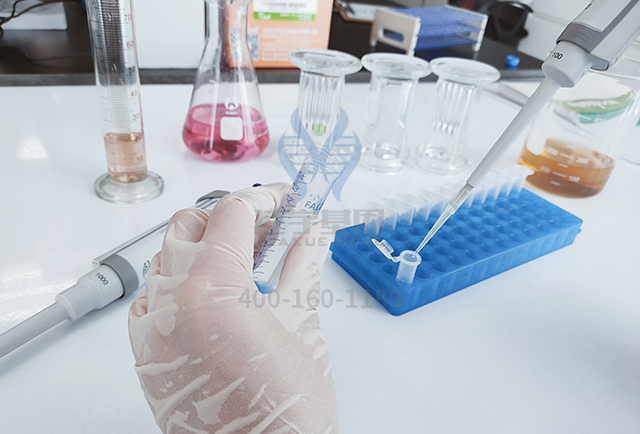 佳学基因解码之情商基因解码 佳学基因解码之情商基因解码