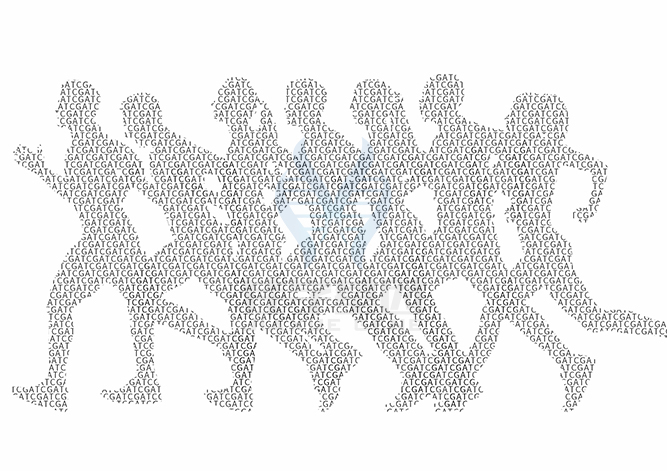 【佳学基因检测】β-克诺索斯地中海贫血基因解码、基因检测有什么用? 【佳学基因检测】β-克诺索斯地中海贫血基因解码、基因检测有什么用?