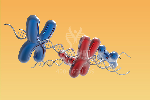 【佳学基因检测】拇指宽拇指综合症基因检测可以指导正确治疗？