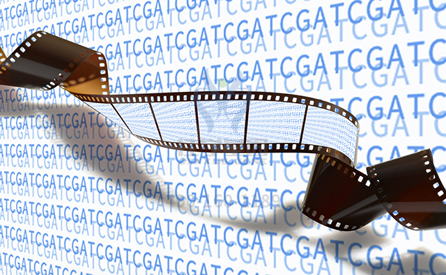 【佳学基因-基因检测】如何避免I型戊二酸血症的误诊？    