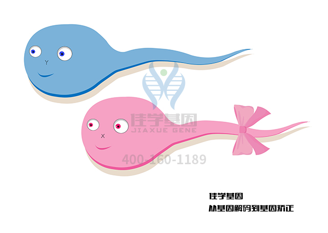 【佳学基因检测】阿扑长春胺酸乙酯基因检测 【佳学基因检测】阿扑长春胺酸乙酯基因检测