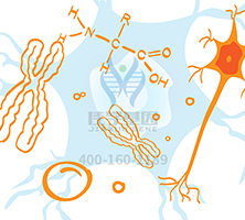 【佳学基因检测】做Denys-Drash综合征基因解码、基因检测需要多少钱？