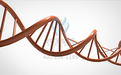 【佳学基因-基因检测】复杂的多基因遗传病