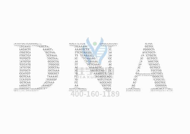 【佳学基因检测】眼皮肤白化病3型基因解码、基因检测的报告看得懂吗? 【佳学基因检测】眼皮肤白化病3型基因解码、基因检测的报告看得懂吗?
