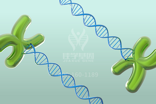 【佳学基因检测】药房主任如何询问关于ASS1P14的分子病理检测知识