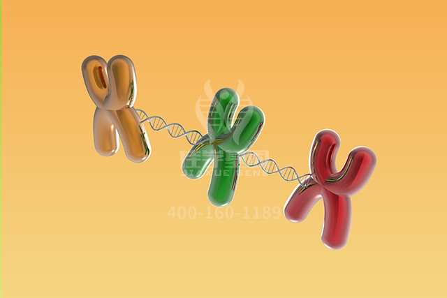 【佳学基因检测】医学博士TNFRSF17突变检测的知识结构准备