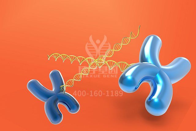 【染色体检测】染色体核型分析需用什么样的显微镜