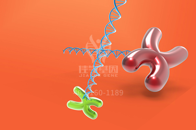 【佳学基因检测】ATP4B分子病理检测后采用什么药物治疗比较有效果? 【佳学基因检测】ATP4B分子病理检测后采用什么药物治疗比较有效果?