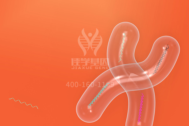 【佳学基因检测】医学院硕士研究考试关于ASGR1突变检测的知识要点