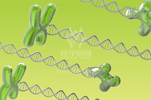 【佳学基因检测】胸外科突变检测项目招标为什么要问RHOG的内容 【佳学基因检测】胸外科突变检测项目招标为什么要问RHOG的内容