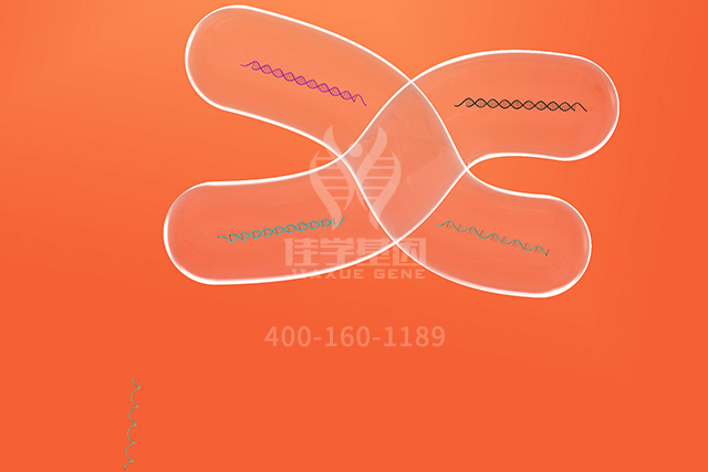 【佳学基因检测】皮肤科突变检测能力评估中可能问到的关于GET3的问题 【佳学基因检测】皮肤科突变检测能力评估中可能问到的关于GET3的问题