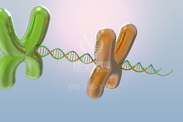 【佳学基因检测】这些关于ARF4P1的内容，是分子病理检测准确性的必要条件