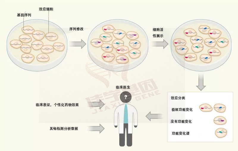 【佳学基因检测】开发高速验证基因解码结果的技术：基因检测加速退出