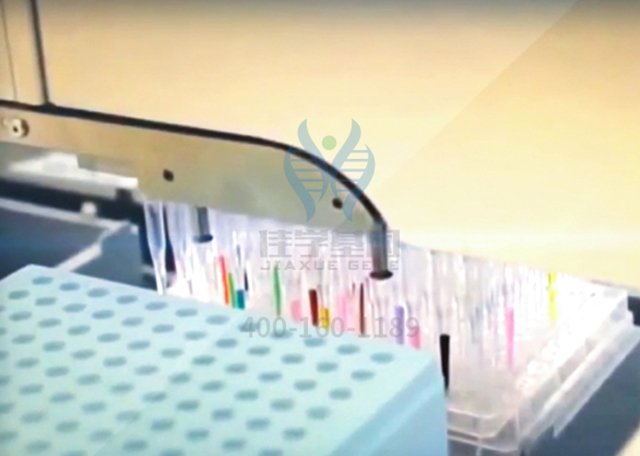 【佳学基因检测