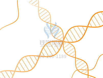 【佳学基因检测】分子病理学中关于CDKN1A的必知必考内容