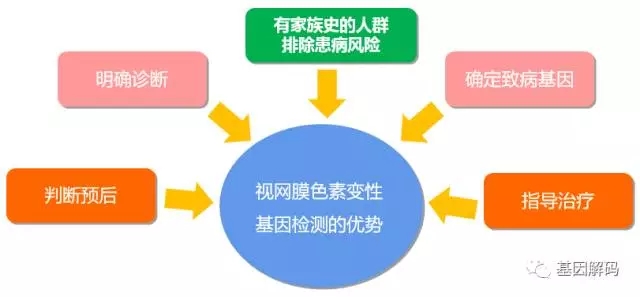 【佳学基因-基因检测】原发性视网膜色素变性基因检测