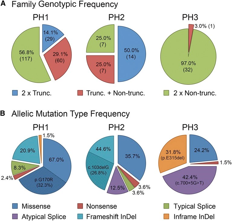 【佳学基因检测】原发性高草酸尿症基因检测
