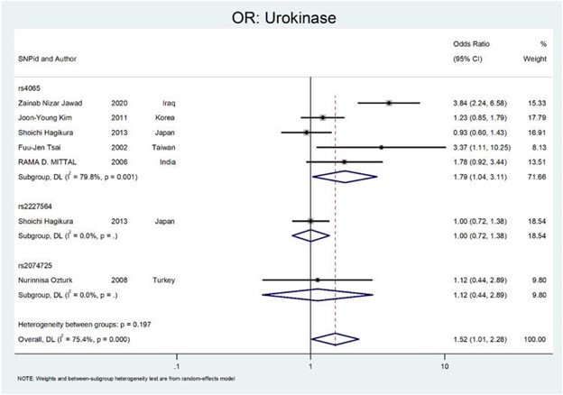 【佳学基因检测】肾结石基因检测位点及应用效果分析 【佳学基因检测】肾结石基因检测位点及应用效果分析