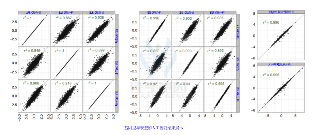 【佳学基因检测】腋下有味道就是狐臭吗?基因解码是怎样提高狐臭基因检测的准确性的? 【佳学基因检测】腋下有味道就是狐臭吗?基因解码是怎样提高狐臭基因检测的准确性的?