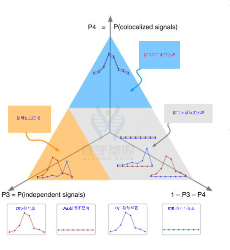 【佳学基因检测】基因解码提升肿瘤肺癌复发风险基因检测的大数据处理策略 【佳学基因检测】基因解码提升肿瘤肺癌复发风险基因检测的大数据处理策略