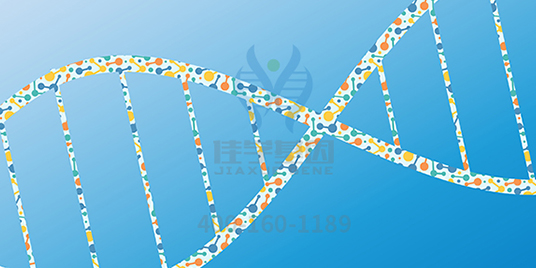 【佳学基因解码-基因检测】这些举动竟让脱发的女孩们重拾自信! 【佳学基因解码-基因检测】这些举动竟让脱发的女孩们重拾自信!