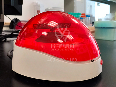 【佳学基因检测】药房主任如何询问关于COX6B1P2的疾病风险评估知识