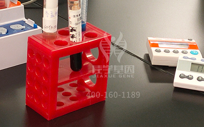 【佳学基因解码-基因检测】怪不得嗯哼的情商这么高!霍思燕的教育方式获赞! 【佳学基因解码-基因检测】怪不得嗯哼的情商这么高!霍思燕的教育方式获赞!