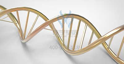 【佳学基因解码-基因检测】怪不得嗯哼的情商这么高!霍思燕的教育方式获赞! 【佳学基因解码-基因检测】怪不得嗯哼的情商这么高!霍思燕的教育方式获赞!