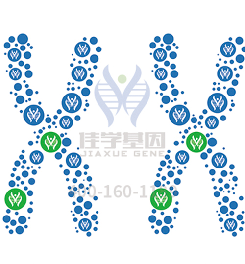 【佳学基因解码-基因检测】古今中外,有哪些王室被“遗传病噩梦”所困扰? 【佳学基因解码-基因检测】古今中外,有哪些王室被“遗传病噩梦”所困扰?