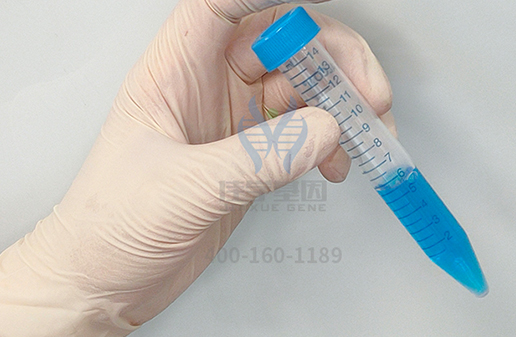 【佳学基因解码-基因检测】为什么爱因斯坦如此聪明,他的两个孩子却是疯子? 【佳学基因解码-基因检测】为什么爱因斯坦如此聪明,他的两个孩子却是疯子?