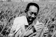 【佳学基因检测】DLG1基因检测有突变怎么办？