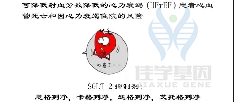 【佳学基因检测】如果没有做基因检测,糖尿病用药至少要知道这些要点 【佳学基因检测】如果没有做基因检测,糖尿病用药至少要知道这些要点