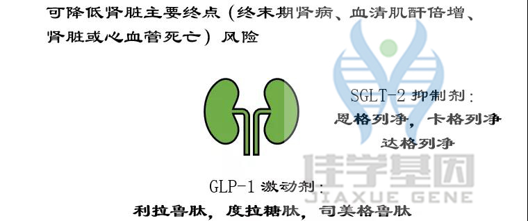 【佳学基因检测】如果没有做基因检测,糖尿病用药至少要知道这些要点 【佳学基因检测】如果没有做基因检测,糖尿病用药至少要知道这些要点