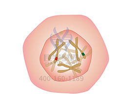 【佳学基因解码-基因检测】泪点低是一种怎样的体验? 【佳学基因解码-基因检测】泪点低是一种怎样的体验?