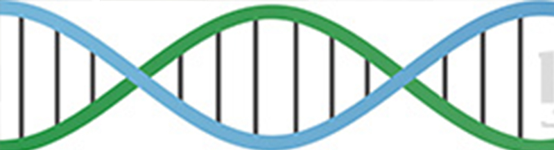 【佳学基因解码-基因检测】英国王室秃顶基因太强大,帅气的威廉王子也中招 【佳学基因解码-基因检测】英国王室秃顶基因太强大,帅气的威廉王子也中招