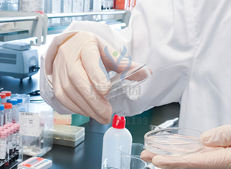 【佳学基因-基因检测】花那么多钱做基因检测,到底值不值? 【佳学基因-基因检测】花那么多钱做基因检测,到底值不值?