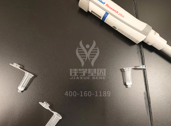 【佳学基因解码-基因检测】令人头晕目眩的疑难杂症——梅尼埃病 【佳学基因解码-基因检测】令人头晕目眩的疑难杂症——梅尼埃病