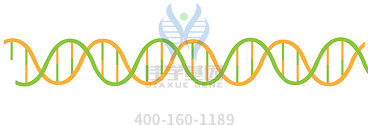 【佳学基因-基因检测】抖动抽搐不一定是帕金森,基因检测让诊断更清晰 【佳学基因-基因检测】抖动抽搐不一定是帕金森,基因检测让诊断更清晰