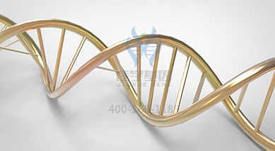 【佳学基因-基因检测】运动基因解码 【佳学基因-基因检测】运动基因解码
