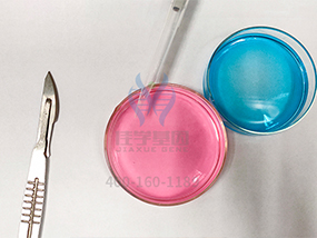 【佳学基因-基因检测】“饥饿疗法”能饿死癌细胞?基因解码辟谣:不能! 【佳学基因-基因检测】“饥饿疗法”能饿死癌细胞?基因解码辟谣:不能!