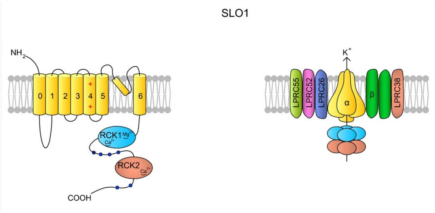 【佳学基因检测】什么是基因解码? 【佳学基因检测】什么是基因解码?