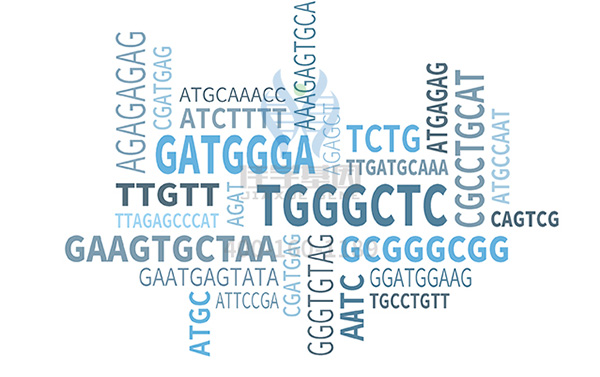 【佳学基因-基因检测】如何避免二胎患躯干发育异常这种罕见病? 【佳学基因-基因检测】如何避免二胎患躯干发育异常这种罕见病?