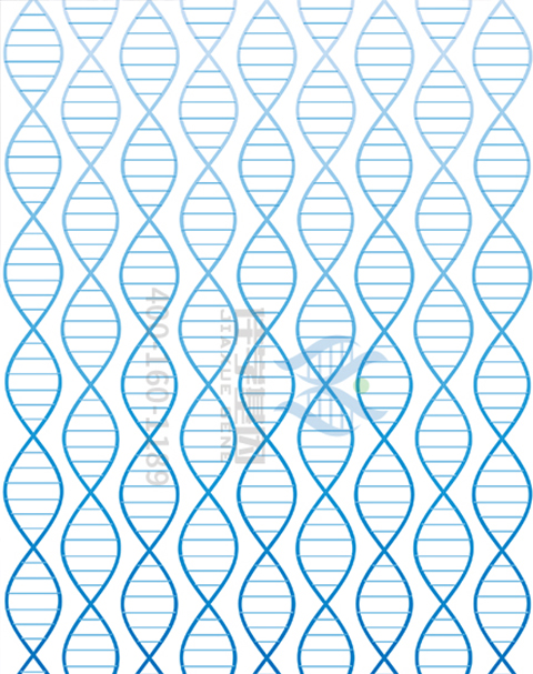 【佳学基因解码-基因检测】没有头发,没有牙齿,患罕见病的她却成为最抢手的模特 【佳学基因解码-基因检测】没有头发,没有牙齿,患罕见病的她却成为最抢手的模特