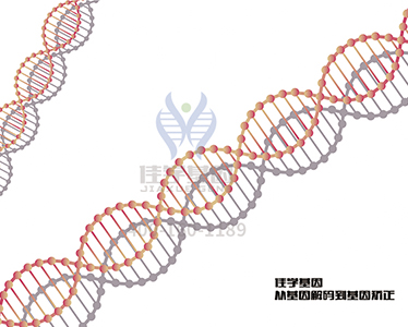 【佳学基因检测】肾癌基因解码、基因检测 【佳学基因检测】肾癌基因解码、基因检测