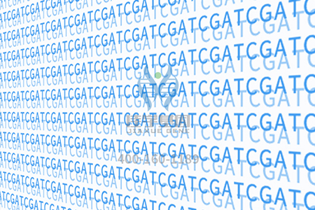 【佳学基因-基因检测】婴儿时就开始捏宝宝的鼻梁,听说这样的鼻梁会挺是真的吗? 【佳学基因-基因检测】婴儿时就开始捏宝宝的鼻梁,听说这样的鼻梁会挺是真的吗?