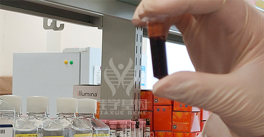 【佳学基因解码-基因检测】不知道什么是地中海贫血?看这一篇就够了! 【佳学基因解码-基因检测】不知道什么是地中海贫血?看这一篇就够了!