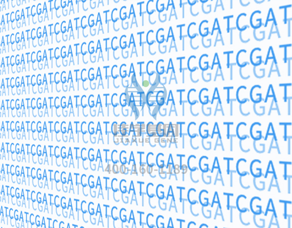 【佳学基因解码-基因检测】新生儿满月后体重不增,原来是患猫叫综合征! 【佳学基因解码-基因检测】新生儿满月后体重不增,原来是患猫叫综合征!